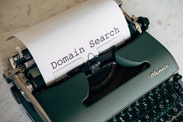 打ちだされてくる紙に「Domain Search」と刻印されたタイプライターのイメージ写真